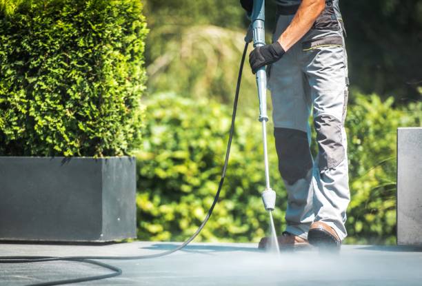 Best Dumpster Area Cleaning  in Dano, CO