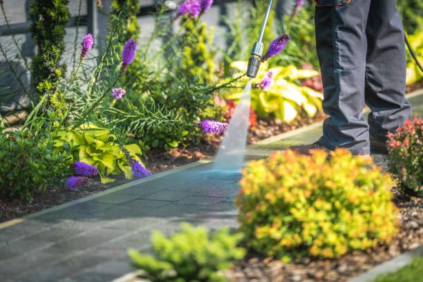Best Gutter Cleaning  in Dano, CO