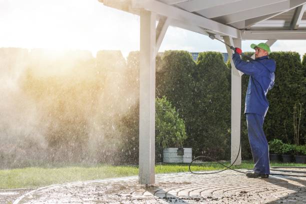 Best Driveway Pressure Washing  in Dano, CO