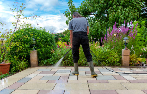Best Pool Deck Cleaning  in Dano, CO